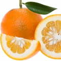 پرتقال تلخ